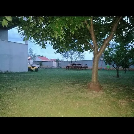 Antonio * Zadar